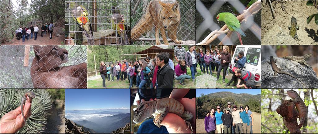 Centro de Gestión Ambiental y Biodiversidad