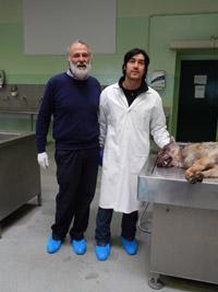  El Dr. Cristóbal Briceño de Favet  realizando una necropsia de una loba (Canis lupus) junto al Dr. Daniele de Meneghi, Director de Cooperación para el Desarrollo y Colaboración Internacional