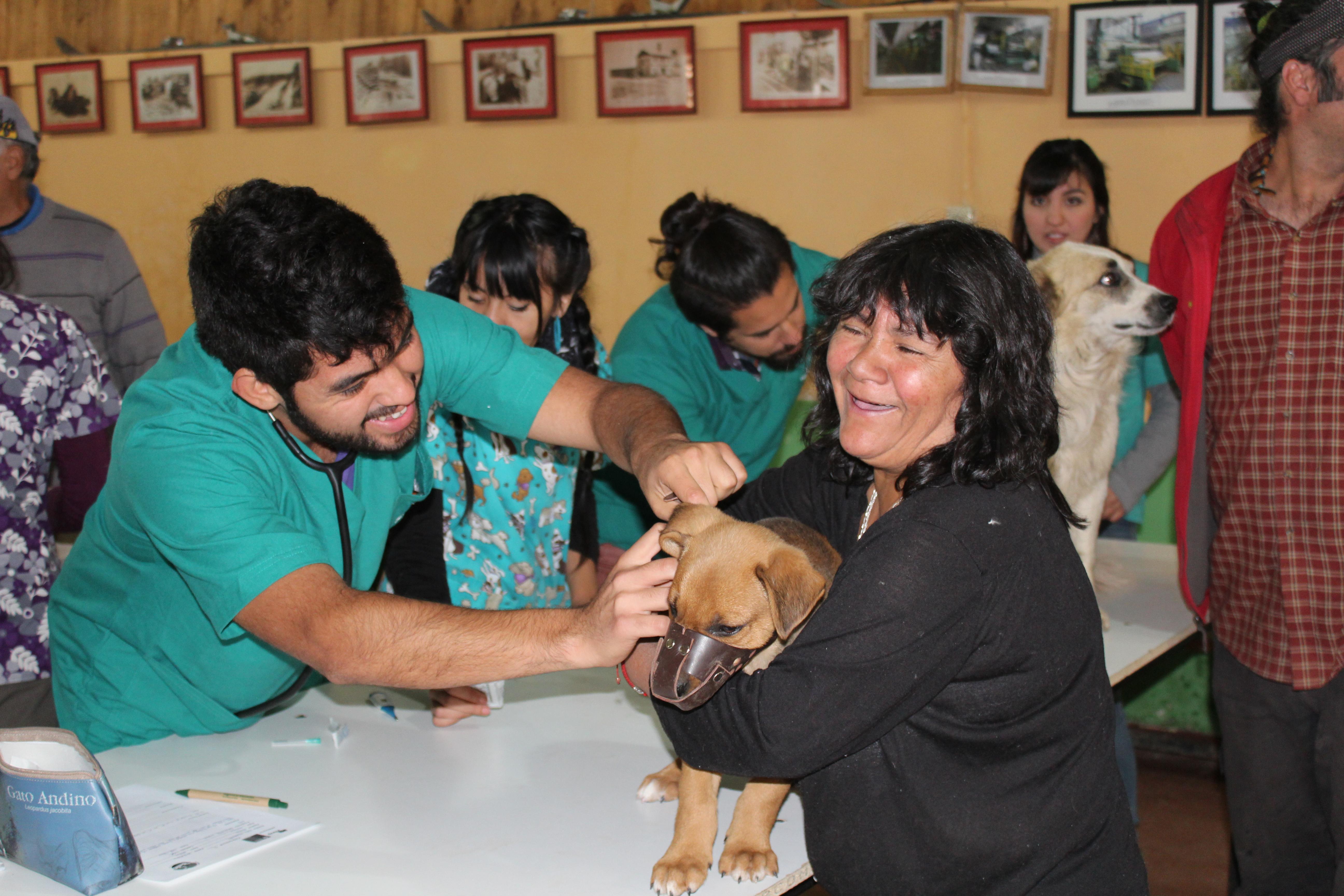 Se realizaron 33 atenciones clínicas a las mascotas de los vecinos de las localidades de Baños Morales, Lo Valdés y alrededores.
