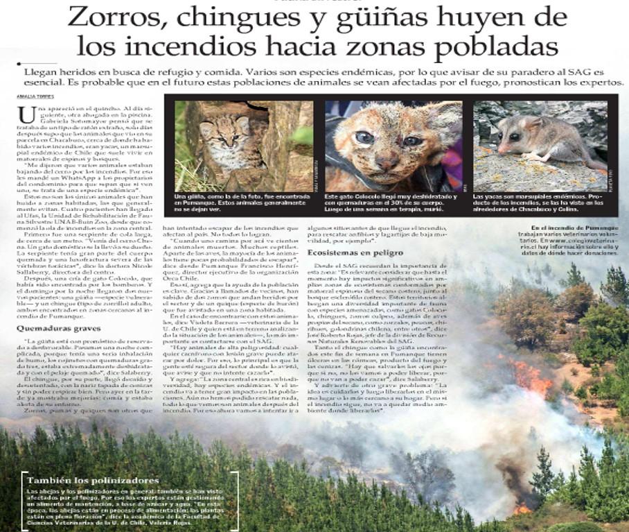Publicación El Mercurio, 24 de enero de 2017