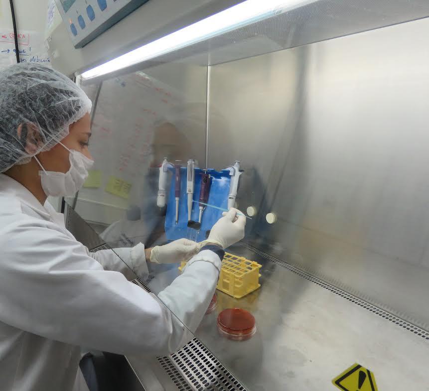 el Laboratorio de Inocuidad de los Alimentos (LIA) de la Facultad de Ciencias Veterinarias y Pecuarias de la Universidad de Chile, haya sido acreditado hasta el año 2021.