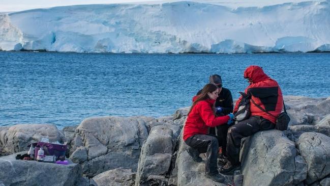 La campaña de los profesionales en el círculo polar antártico (Foto: Inach).