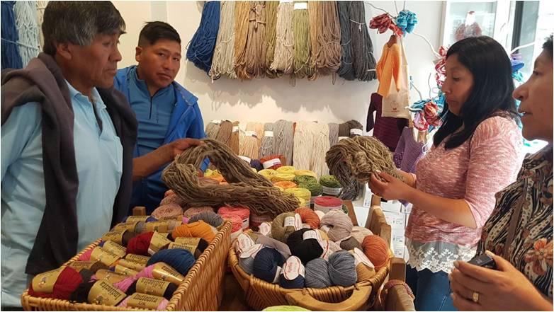 Visita oferta y demanda textil en productos con fibra de camélidos.
