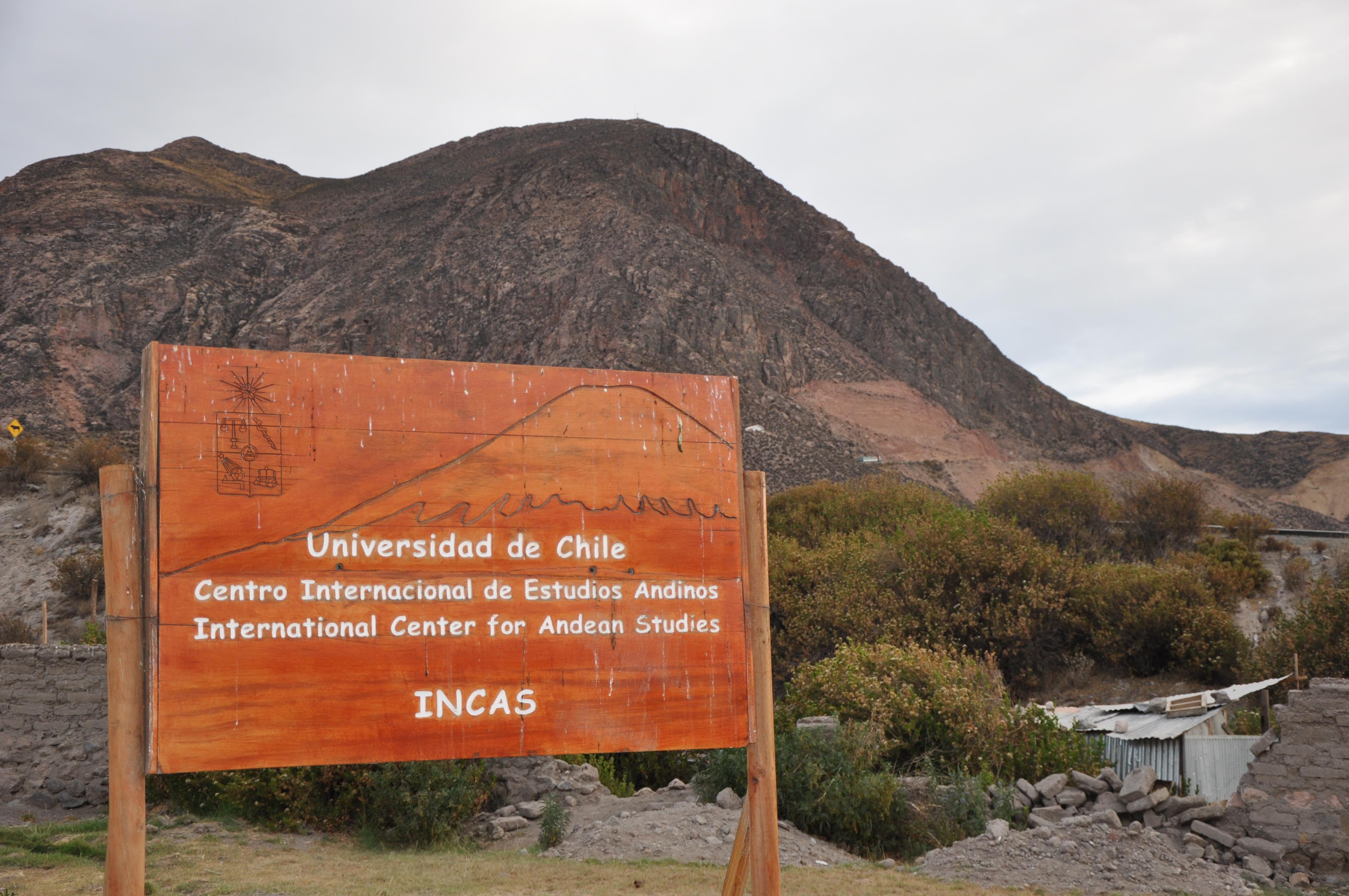 La Municipalidad de Putre junto al Centro Internacional de Estudios Andinos (INCAS), de la U. de Chile, realizarán un programa de control de población a través de la esterilización de mascotas. 