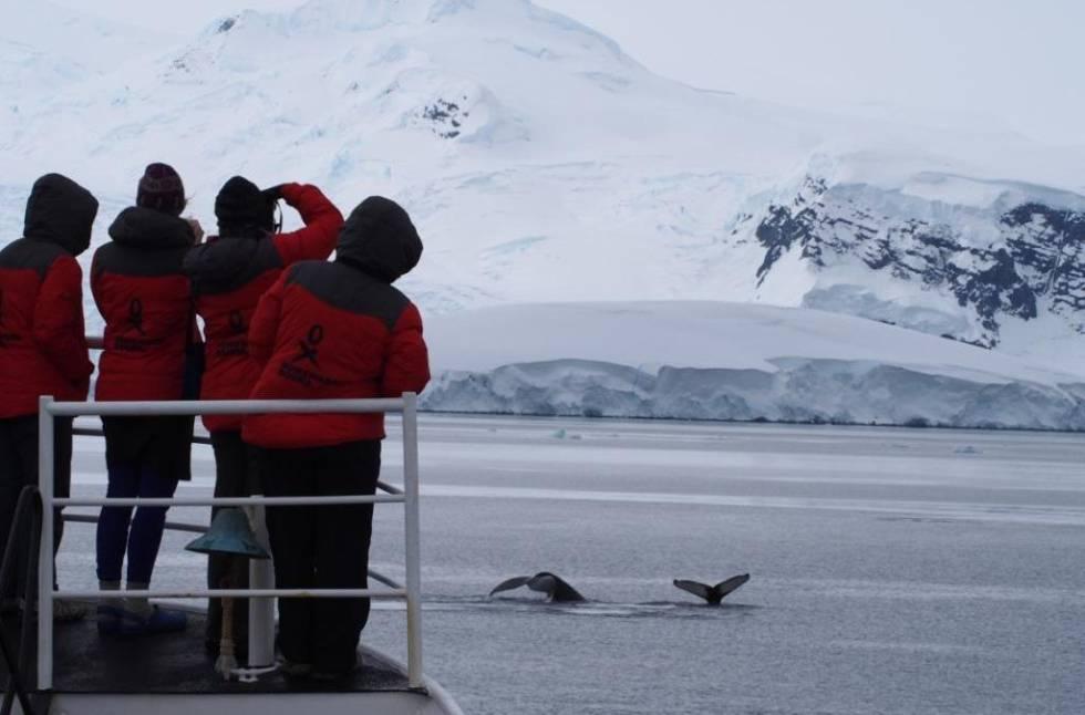 La Antártica es considerada uno de los laboratorios naturales más grandes y uno de los más codiciados por la ciencia.