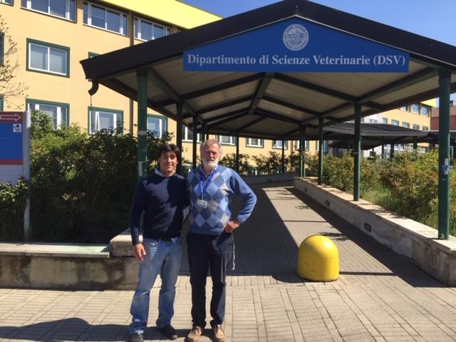  Dr. Briceño y Dr. Daniele de Meneghi académico de enfermedades infecciosas del Departamento de Ciencia Veterinaria, Grugliasco, Torino.