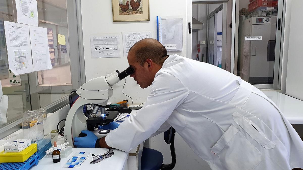 El área de bacteriología del Laboratorio de Patología Aviar de Favet, cuenta con profesionales, académicos e investigadores especializados.