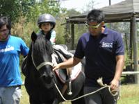  Los niños disfrutaron de paseos en pony a cargo de los alumnos y profesores de la Escuela de Equitación de la Facultad de Ciencias Veterinarias y Pecuarias