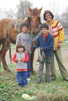 Estos caballos han sido una gran ayuda fundamentalmente para las familias más vulnerables. 